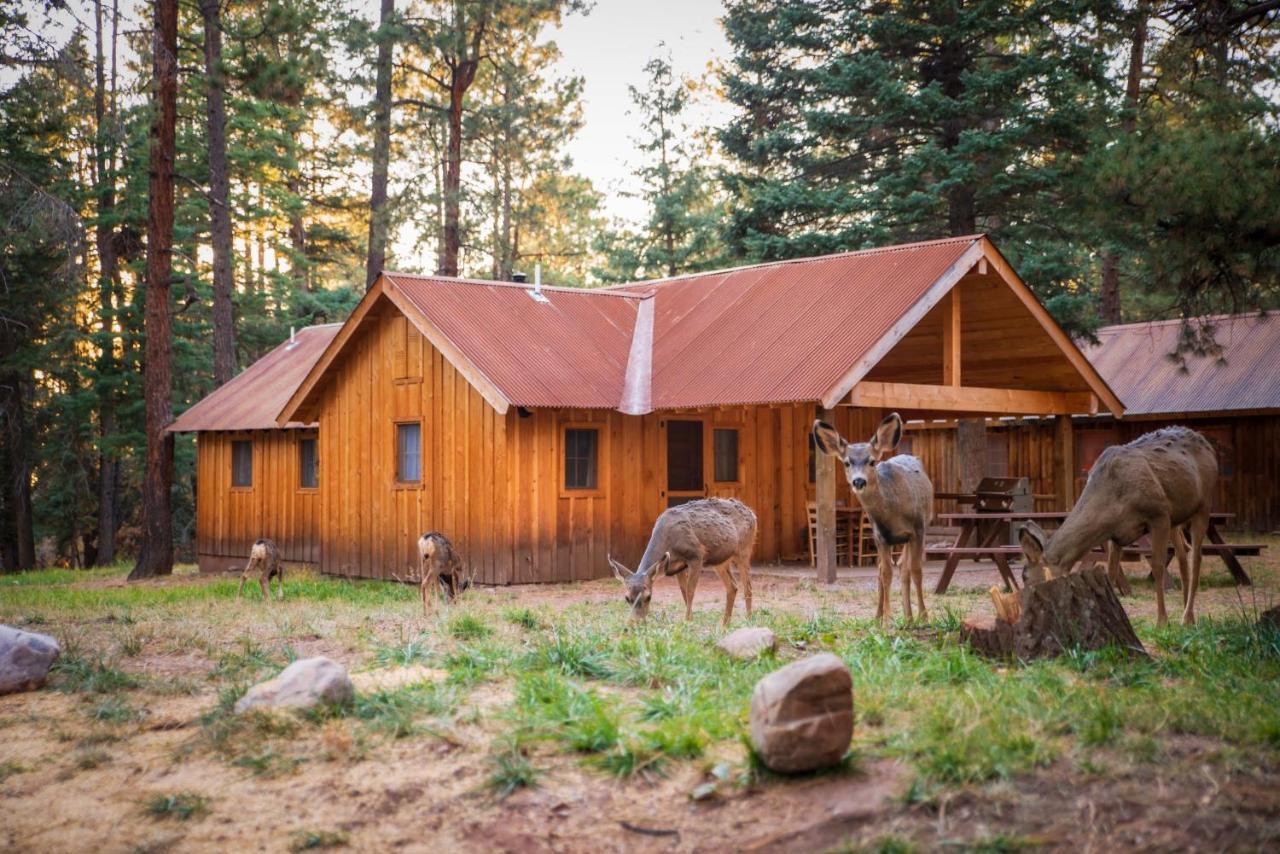 Corkins Lodge Chama Bagian luar foto