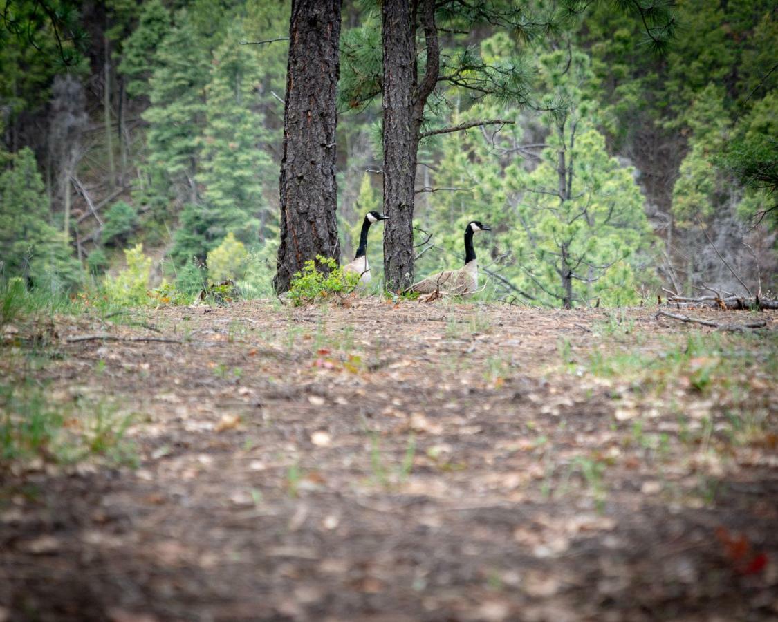 Corkins Lodge Chama Bagian luar foto